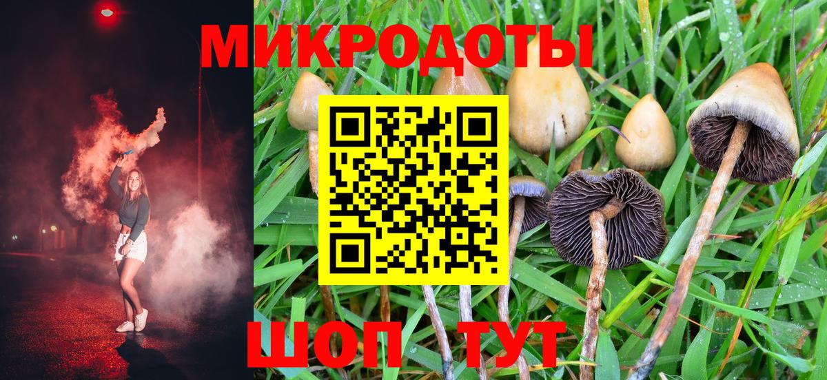 Клинцы  Псилоцибиновые грибы мухоморы  Галлюциногенные грибы Psilocybine cubensis  Вход с VPN 